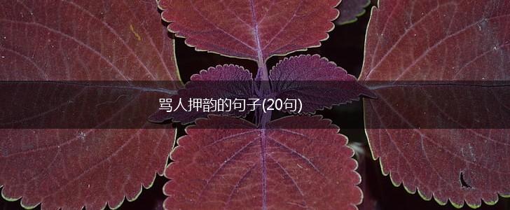 骂人押韵的句子(20句),第1张