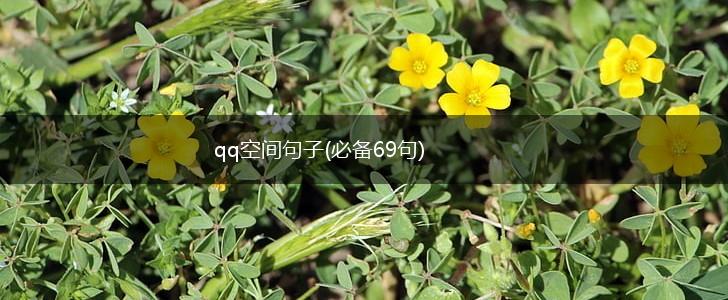 qq空间句子(必备69句),第1张