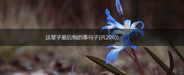 这辈子最后悔的事句子(共20句),第1张