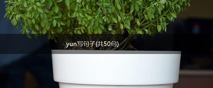 yun写句子(共50句),第1张