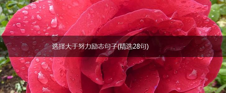 选择大于努力励志句子(精选28句),第1张