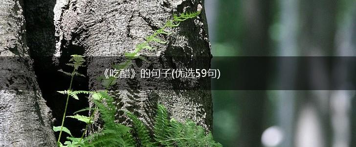 《吃醋》的句子(优选59句),第1张