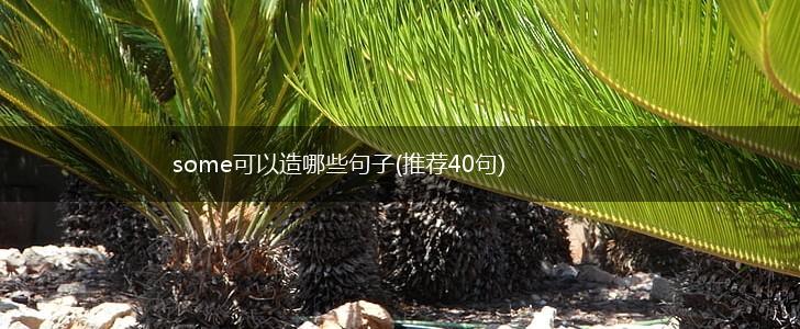 some可以造哪些句子(推荐40句),第1张