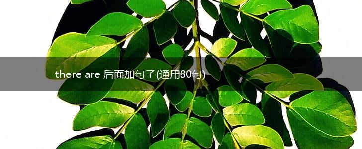 there are 后面加句子(通用80句),第1张