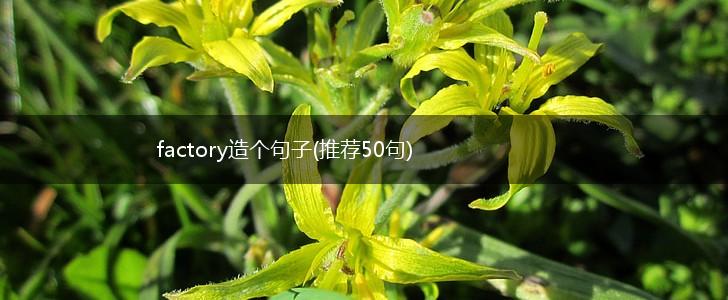 factory造个句子(推荐50句),第1张