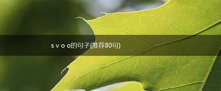 s v o o的句子(推荐80句),第1张