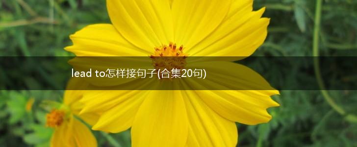 lead to怎样接句子(合集20句),第1张