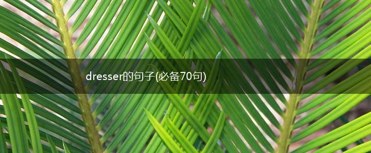 dresser的句子(必备70句),第1张