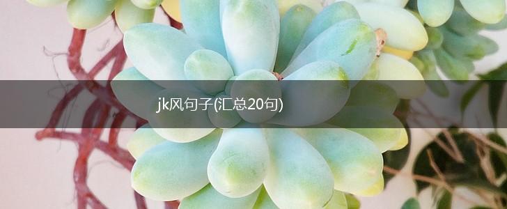 jk风句子(汇总20句),第1张