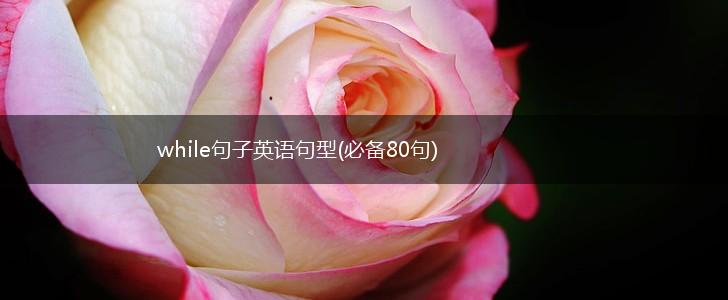 while句子英语句型(必备80句),第1张