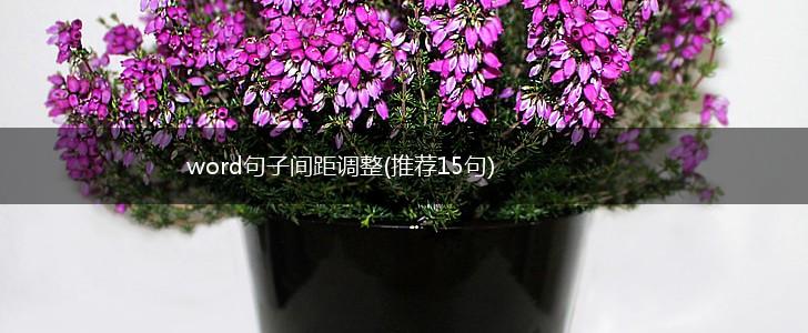 word句子间距调整(推荐15句),第1张