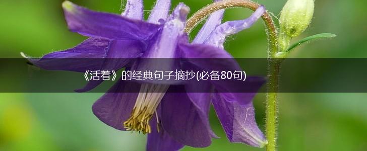 《活着》的经典句子摘抄(必备80句),第1张