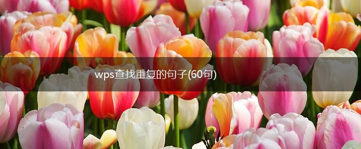 wps查找重复的句子(60句),第1张