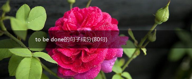to be done的句子成分(80句),第1张