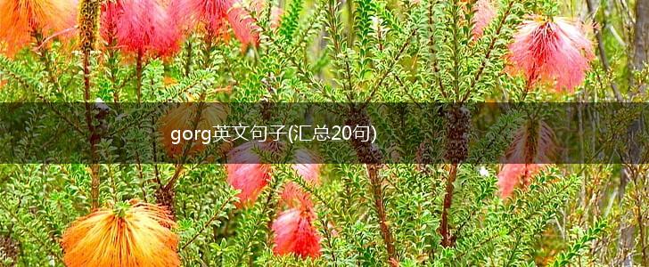 gorg英文句子(汇总20句),第1张
