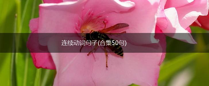 连续动词句子(合集50句),第1张
