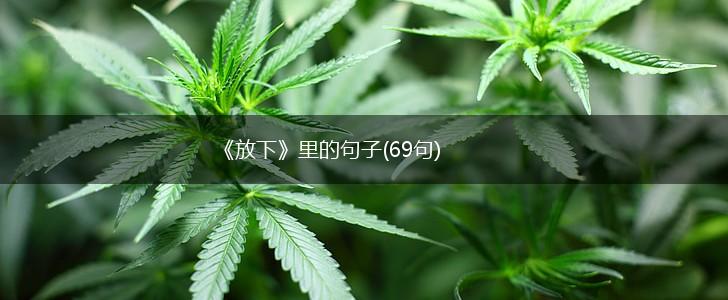 《放下》里的句子(69句),第1张