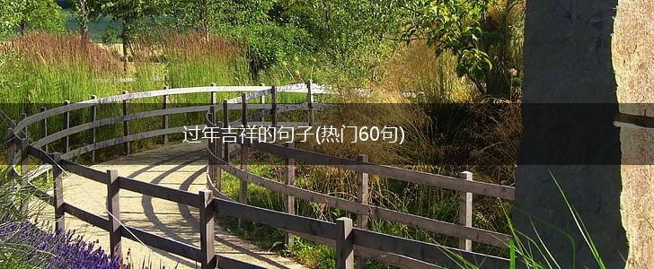过年吉祥的句子(热门60句),第1张