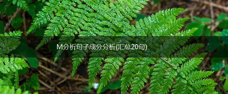 M分析句子成分分析(汇总20句),第1张