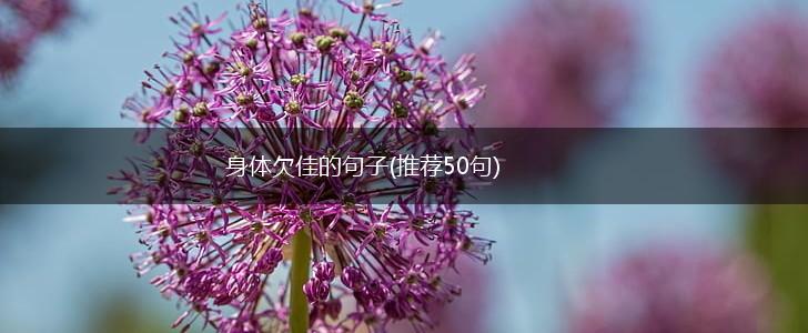 身体欠佳的句子(推荐50句),第1张