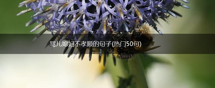 骂儿媳妇不孝顺的句子(热门50句),第1张