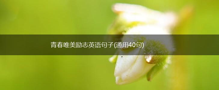 青春唯美励志英语句子(通用40句),第1张
