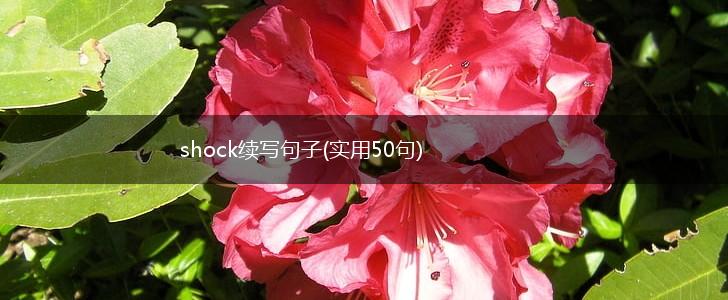 shock续写句子(实用50句),第1张