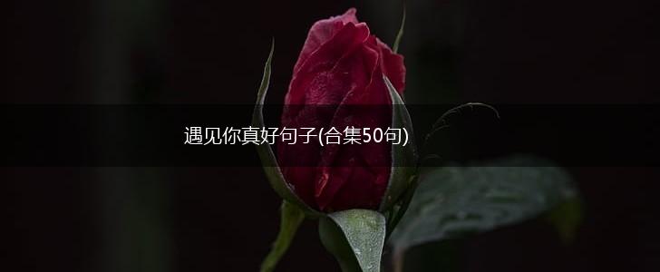 遇见你真好句子(合集50句),第1张