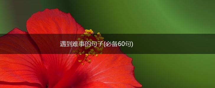 遇到难事的句子(必备60句),第1张