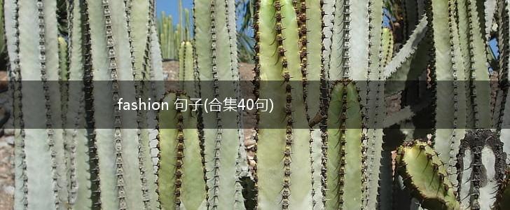 fashion 句子(合集40句),第1张