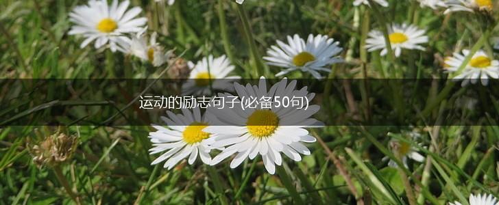 运动的励志句子(必备50句),第1张