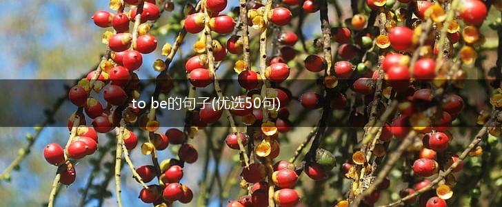 to be的句子(优选50句),第1张