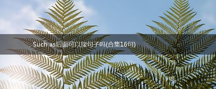 Such as后面可以接句子吗(合集16句),第1张