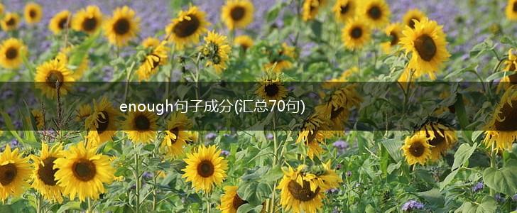 enough句子成分(汇总70句),第1张
