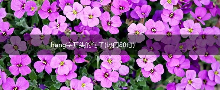hang字开头的句子(热门80句),第1张
