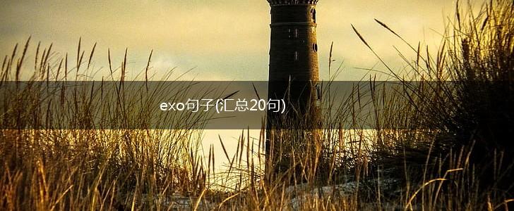 exo句子(汇总20句),第1张