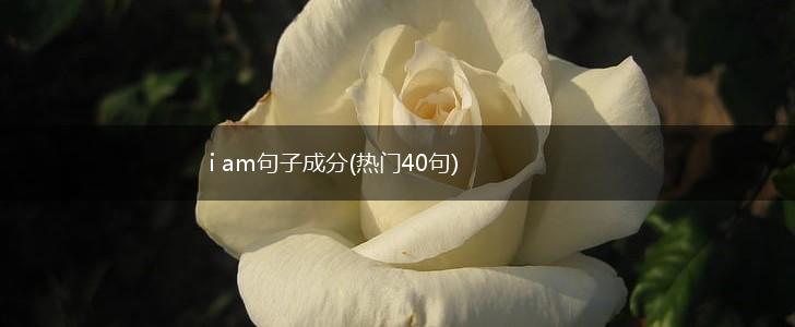 i am句子成分(热门40句),第1张