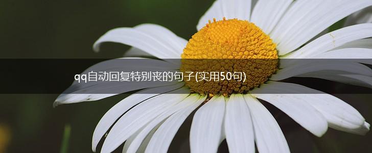 qq自动回复特别丧的句子(实用50句),第1张