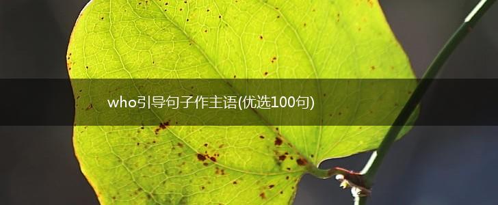 who引导句子作主语(优选100句),第1张