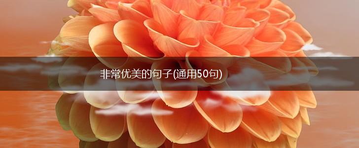 非常优美的句子(通用50句),第1张