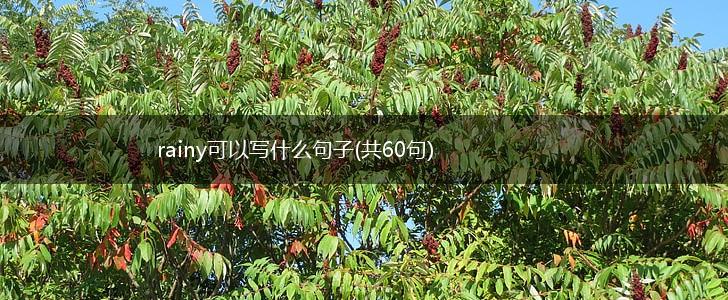 rainy可以写什么句子(共60句),第1张