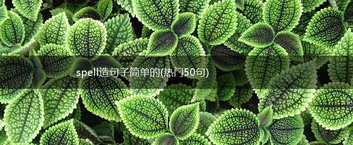 spell造句子简单的(热门50句),第1张