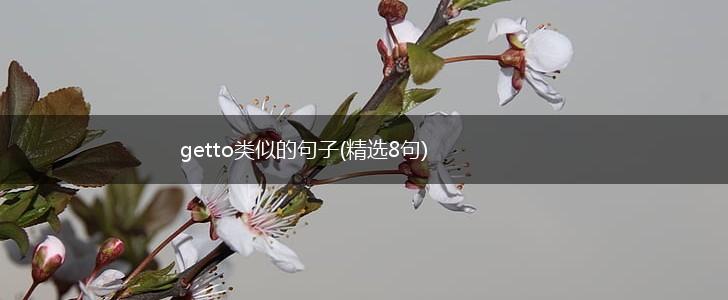 getto类似的句子(精选8句),第1张