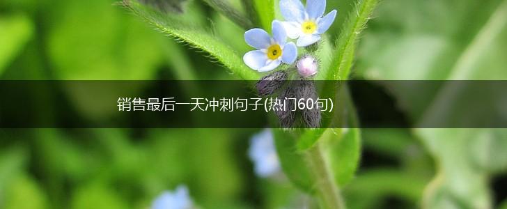 销售最后一天冲刺句子(热门60句),第1张