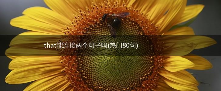 that能连接两个句子吗(热门80句),第1张