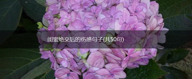 闺蜜绝交后的伤感句子(共50句),第1张