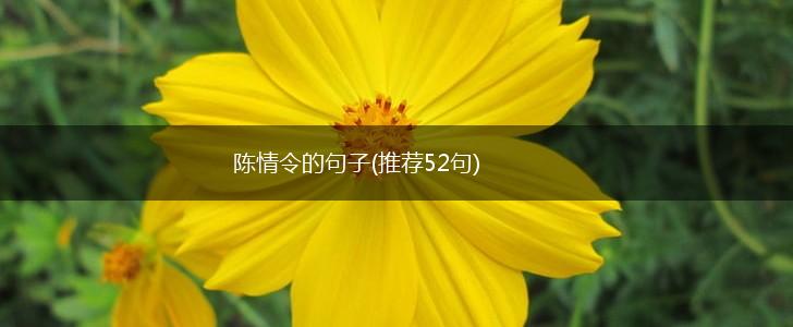 陈情令的句子(推荐52句),第1张
