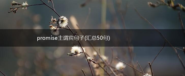 promise主谓宾句子(汇总50句),第1张