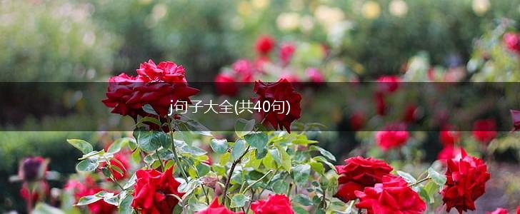 j句子大全(共40句),第1张