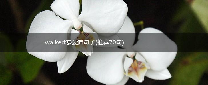 walked怎么造句子(推荐70句),第1张